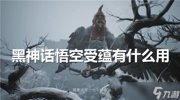 黑神话悟空受蕴有什么用