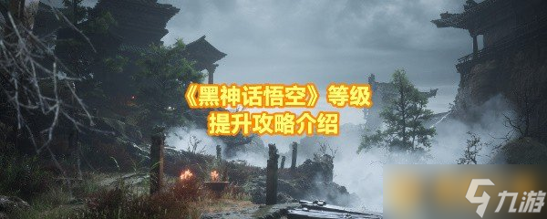 《黑神话悟空》等级提升攻略介绍