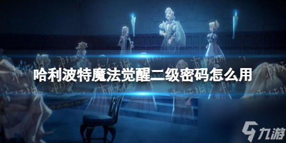 <a id='link_pop' class='keyword-tag' href='https://www.9game.cn/hlbt/'>哈利波特魔法觉醒</a>二级密码怎么用二级密码系统介绍