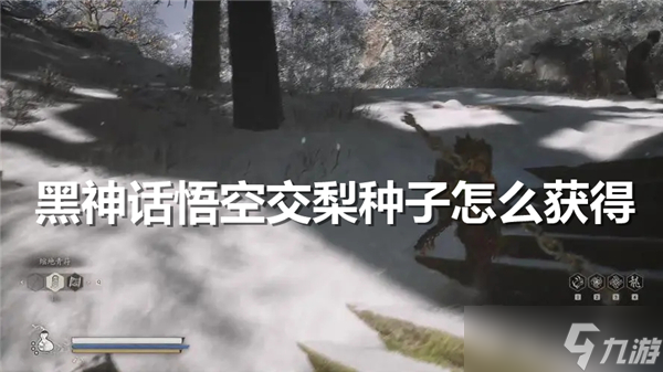 黑神话悟空交梨种子怎么获得