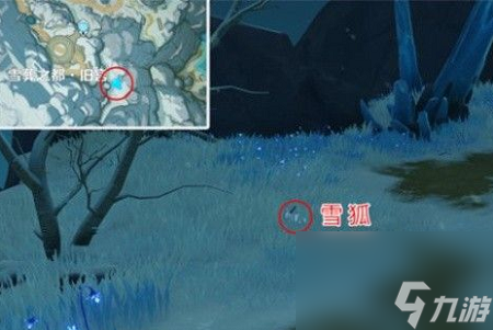 原神雪狐在哪 原神雪狐位置介紹