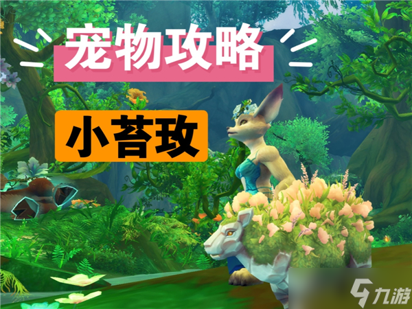 魔獸世界11.0小苔玫寵物怎么獲得