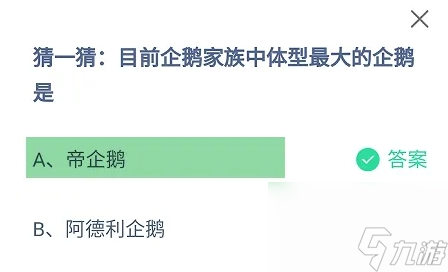 目前企鹅家族中体型最大的企鹅是 正确答案帝企鹅