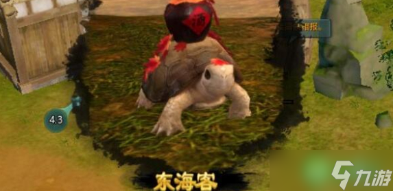 剑网3东海客奇遇怎么完成-东海客宠物奇遇攻略