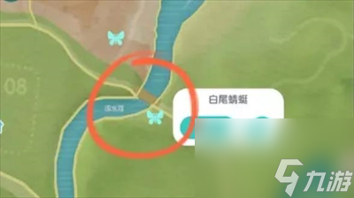 心动小镇手游白尾蜻蜓刷新位置怎么找 心动小镇手游白尾蜻蜓刷新位置合集