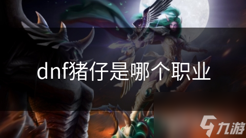 dnf豬仔是哪個職業(yè)