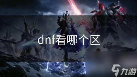 dnf看哪个区