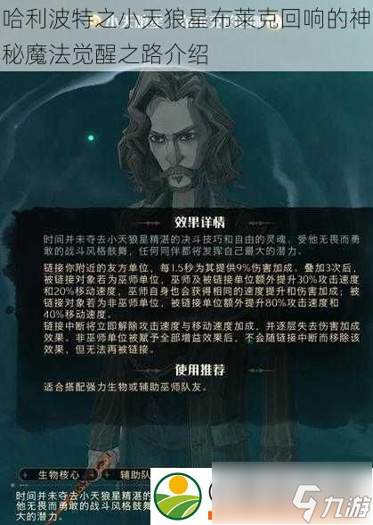 哈利波特之小天狼星布莱克回响的神秘魔法觉醒之路介绍