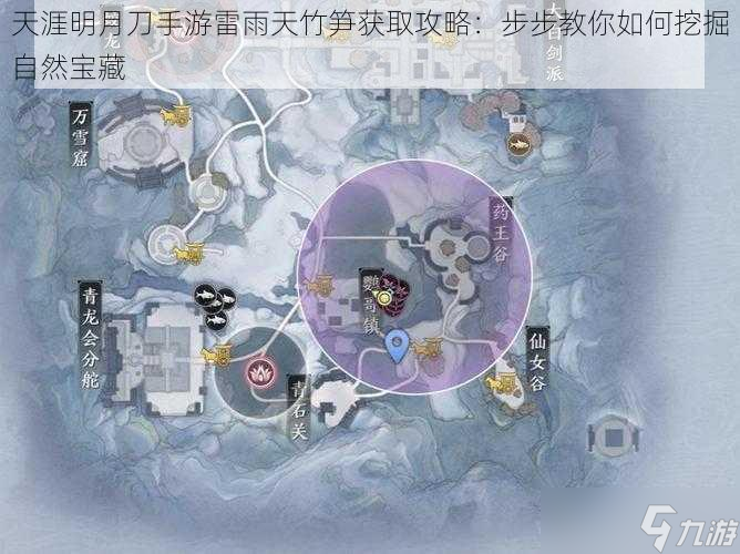 天涯明月刀手游雷雨天竹筍獲取攻略：步步教你如何挖掘自然寶藏