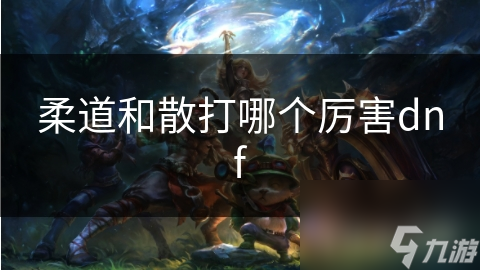 柔道和散打哪个厉害dnf