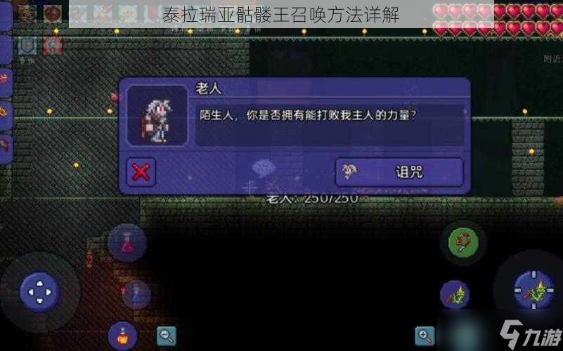 泰拉瑞亚骷髅王召唤方法详解