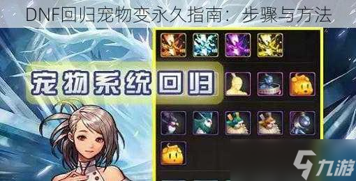 DNF回归宠物变永久指南：步骤与方法