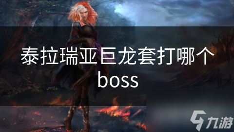 泰拉瑞亚巨龙套打哪个boss