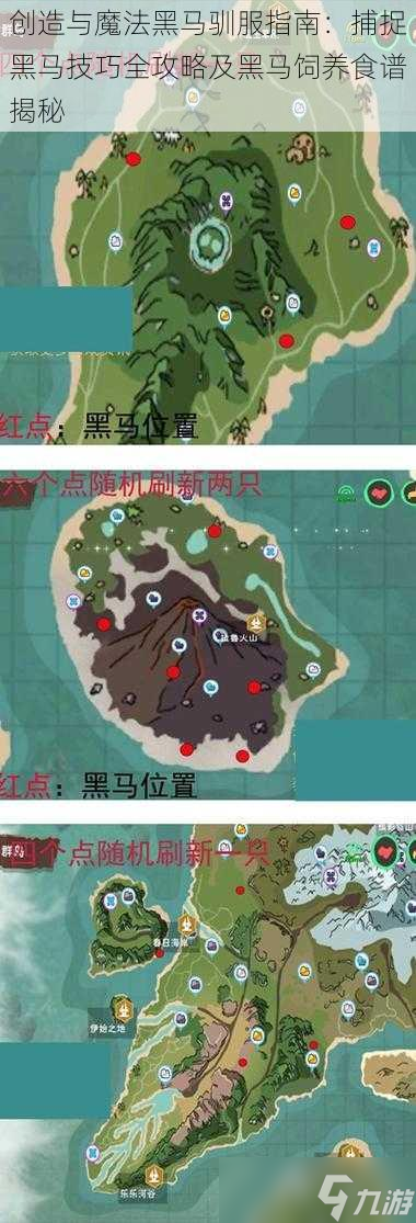 创造与魔法黑马驯服指南：捕捉黑马技巧全攻略及黑马饲养食谱揭秘