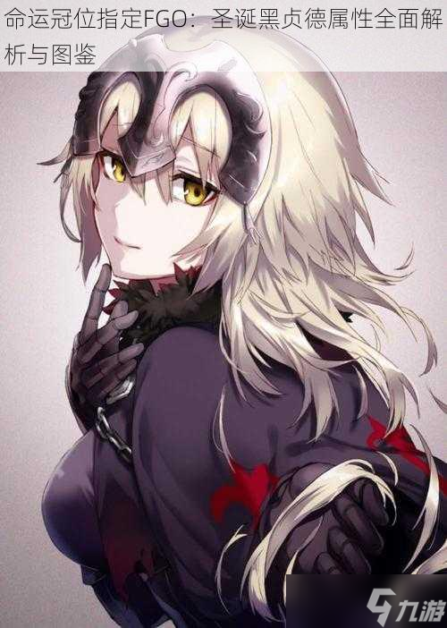 命运冠位指定FGO：圣诞黑贞德属性全面解析与图鉴