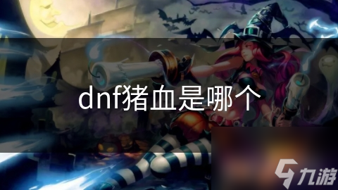 dnf豬血是哪個(gè)