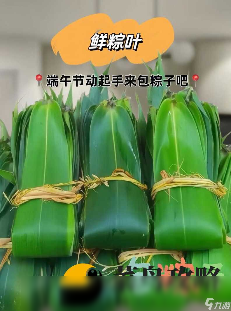 文字找茬大師幫她包好大粽子圖文攻略