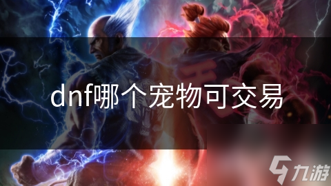 dnf哪个宠物可交易