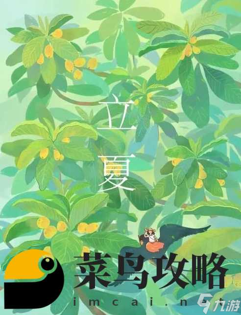 桃花師桃花驚夢立夏副本攻略 立夏副本陣容推薦