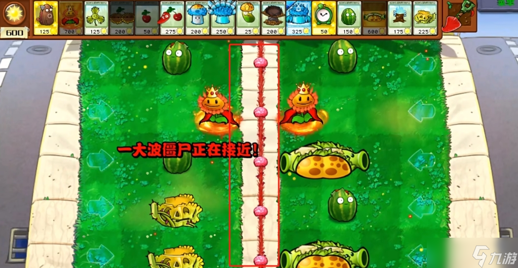 植物大战僵尸杂交版2.5两面夹击玩法