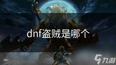 dnf盗贼是哪个