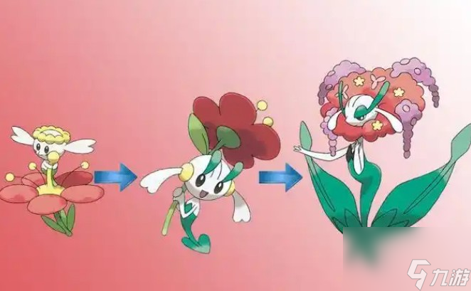 百合根娃娃如何进化