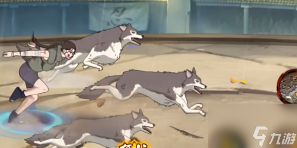 火影忍者手游犬冢花怎么获得