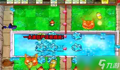 PVZ雜交版益智模式植物僵尸過關(guān)攻略