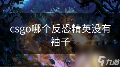 csgo哪个反恐精英没有袖子