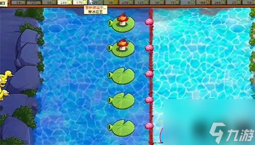 PVZ杂交版益智模式阴阳池怎么过关攻略