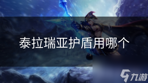 泰拉瑞亞護(hù)盾用哪個