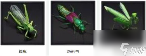 小小蚁国资源怎么获取