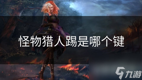 怪物猎人踢是哪个键
