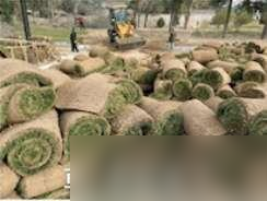 会呼吸的江湖全维飞跃 《逆水寒》颠覆网游刻板认知