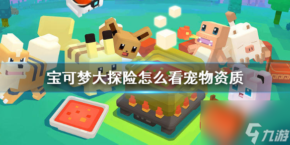 <a id='link_pop' class='keyword-tag' href='https://www.9game.cn/bkmtxxb/'>宝可梦大探险</a>怎么看宠物资质宠物资质查看方法