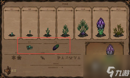 饥荒种子对应植物是什么