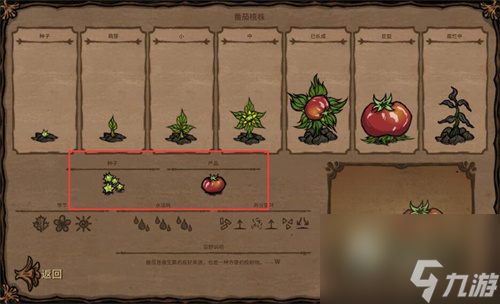 饥荒种子对应植物是什么