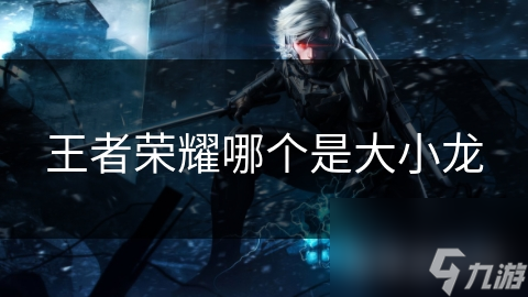王者荣耀哪个是大小龙