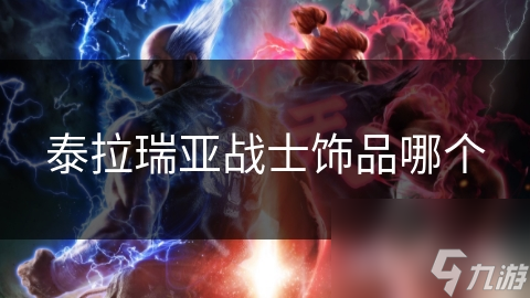 泰拉瑞亚战士饰品哪个