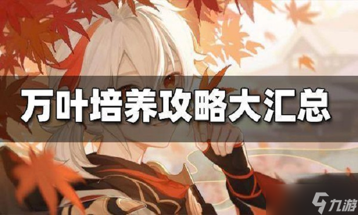 万叶怎么养 <a id='link_pop' class='keyword-tag' href='https://www.9game.cn/yuanshen/'>原神</a>枫原万叶培养攻略