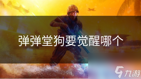 弹弹堂狗要觉醒哪个