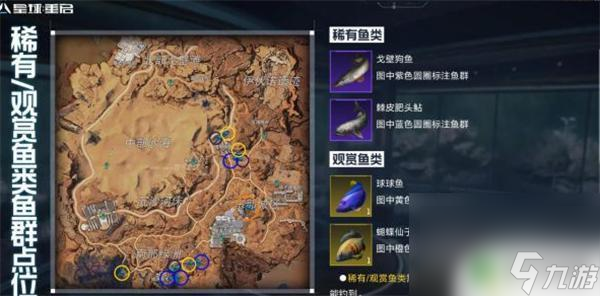 星球重啟觀賞魚怎么搞 《星球重啟》觀賞魚怎么獲取