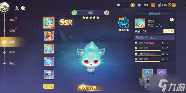 天启圣源宠物搭配攻略 天启圣源宠物怎么搭配好