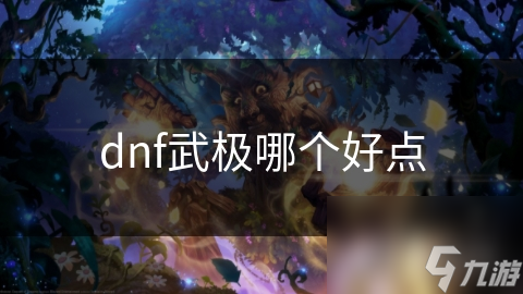 dnf武极哪个好点