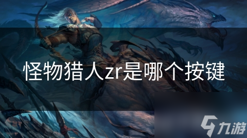 怪物猎人zr是哪个按键