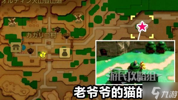 《塞尔达传说智慧的再现》猫咪服获取方法