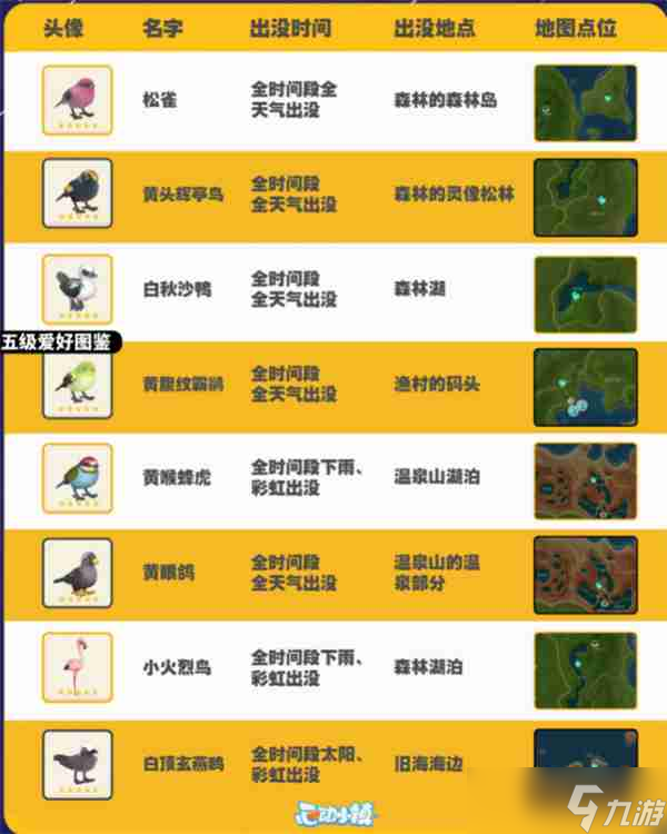 心动小镇观鸟图鉴 心动小镇观鸟注意事项