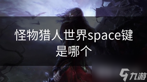 怪物獵人世界space鍵是世界哪個(gè)