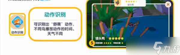 心动小镇观鸟图鉴 心动小镇观鸟注意事项