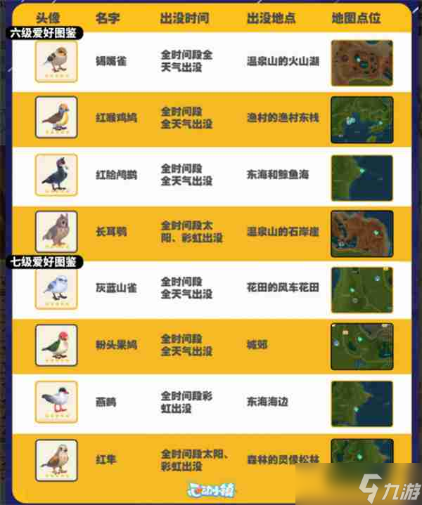 心动小镇观鸟图鉴 心动小镇观鸟注意事项